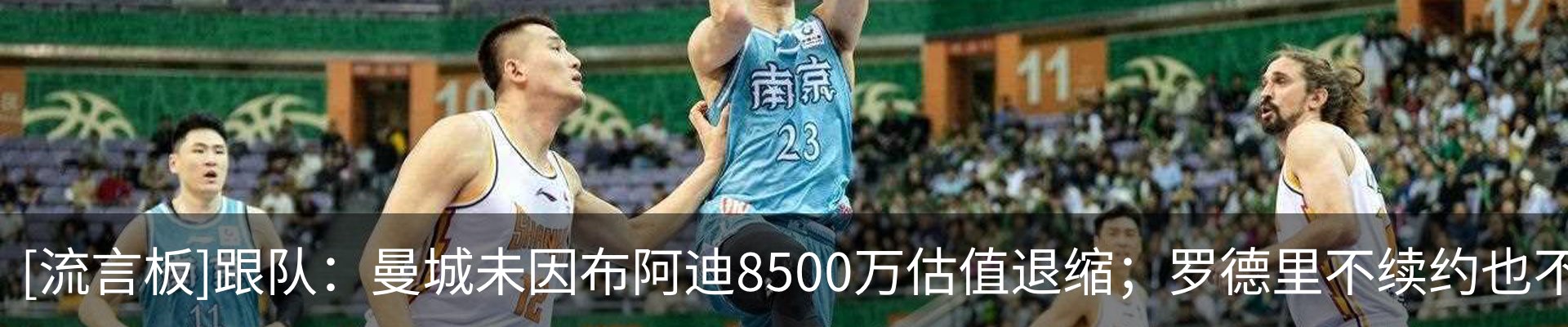 新闻动态